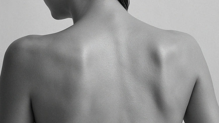 Body